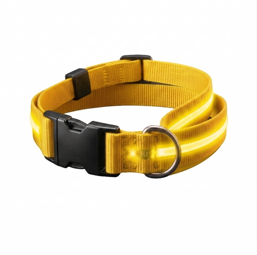 AktivPfote LuxBand