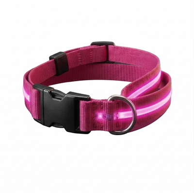AktivPfote LuxBand