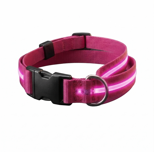 AktivPfote LuxBand