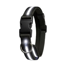 AktivPfote LuxBand