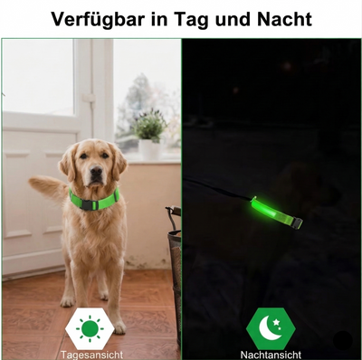 AktivPfote LuxBand