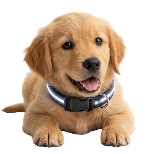 Feature product image
