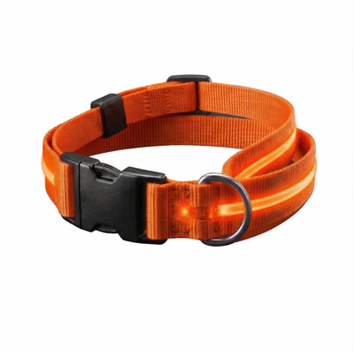AktivPfote LuxBand